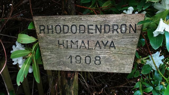 Foto: © Silvia Plischek