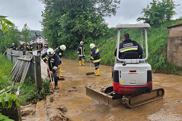 Insgesamt waren elf Feuerwehren mit 128 Mitgliedern im Einsatz. | Foto: FF Dietmanns