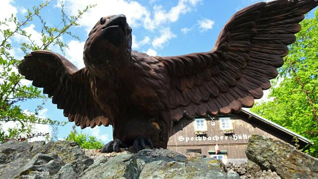 ... bei der Speckbacher-Hütte ... | Foto: © Silvia Plischek