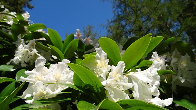 Foto: © Silvia Plischek