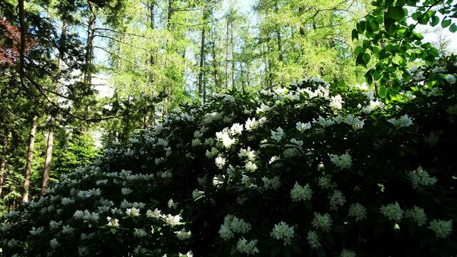 Foto: © Silvia Plischek