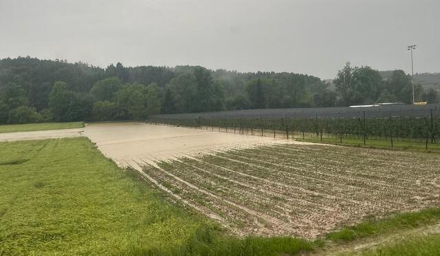 Teils wurden Äcker überschwemmt. | Foto: BFV Weiz