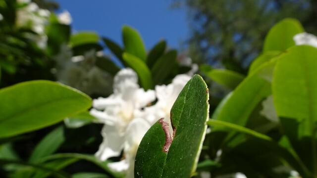 Auf Wiedersehen &amp; bis zum nächsten Mal auf dem Kreuzberg! | Foto: © Silvia Plischek