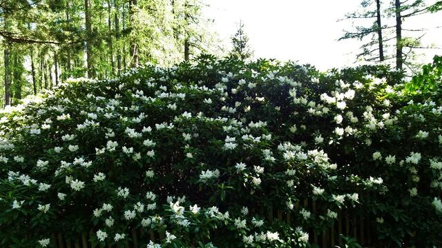 Foto: © Silvia Plischek