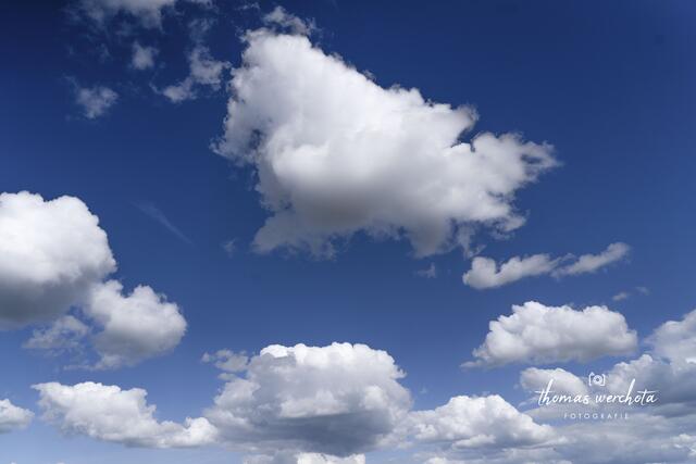 Foto: Thomas Werchota