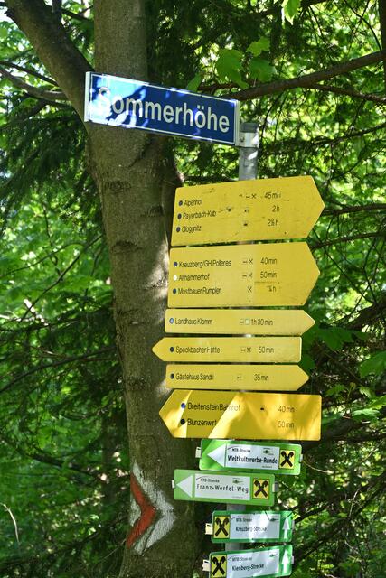 Von dort geht der Weg weiter zur Speckbacher Hütte, ich gehe aber vorher noch ein Stück die Straße nach Breitenstein, von wo ich  eine tolle Aussicht habe