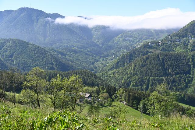 Blick Richtung Hirschenkogel