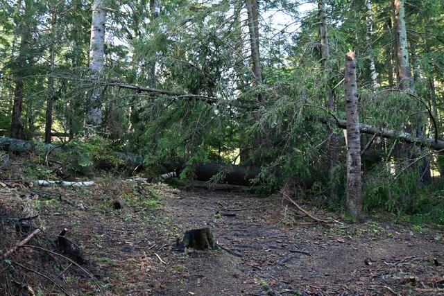 Hindernisse am Weg, aber leicht zu umgehen