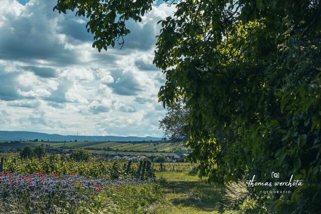 Foto: Thomas Werchota