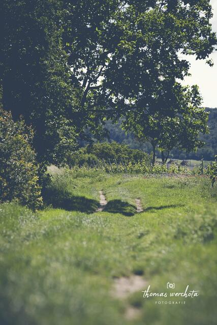 Foto: Thomas Werchota