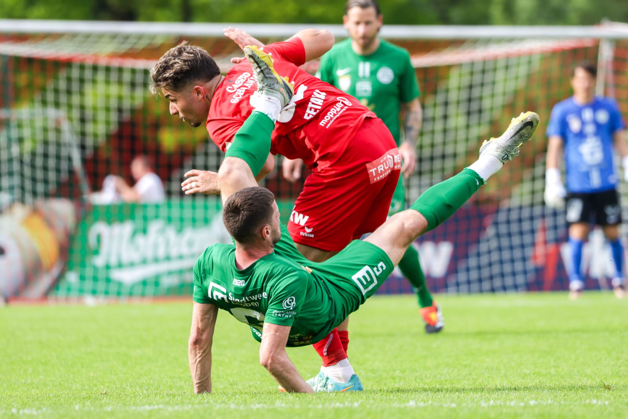Ständig Neutrales Schiedsgericht DSV Leoben muss zwangsabsteigen Leoben