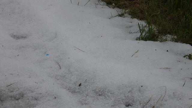 Foto: www.einsatzdoku.at