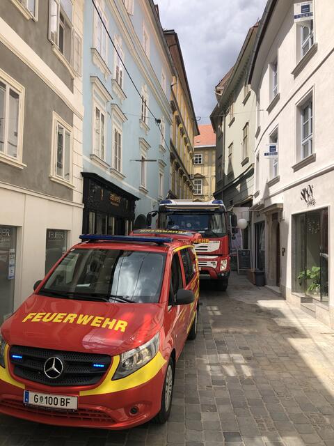 Sechs Fahrzeuge und 25 Feuerwehrfrauen sowie -Männer waren im Einsatz. | Foto: BF Graz