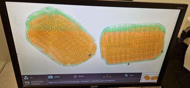 Entdeckt wurde die Ware bei einer Routinekontrolle im Grünkanal. | Foto: BMF/Zoll
