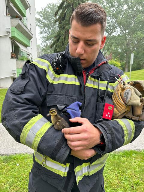 Foto: FF Wiener Neustadt