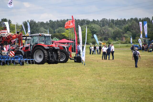 Foto: Stefan Schneider