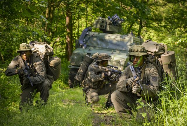 Geübt wird im Murtal großteils im Gelände. | Foto: Bundesheer