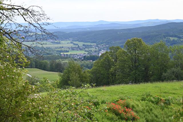 Gem. Enzenreith, Orte an der B17