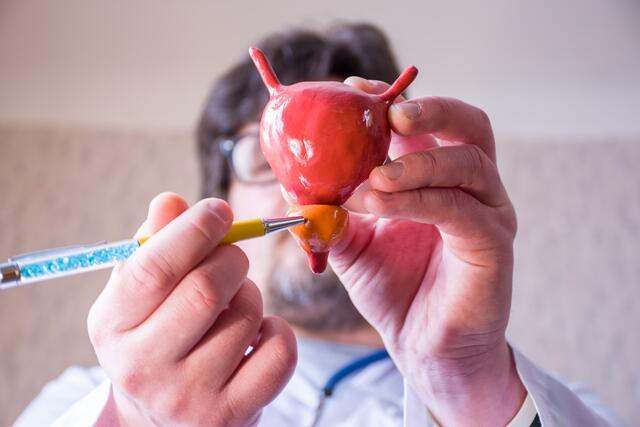 Eine vergrößerte Prostata muss nicht zwangsläufig bösartig sein. | Foto: Shidlovski/Shutterstock