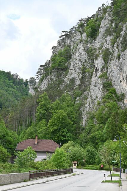 Hier kam ich bei Schottwien auf die Hauptstraße,
man kann mit dem Bus zurück nach Gloggnitz fahren, oder den Weinweg zurück gehen. 