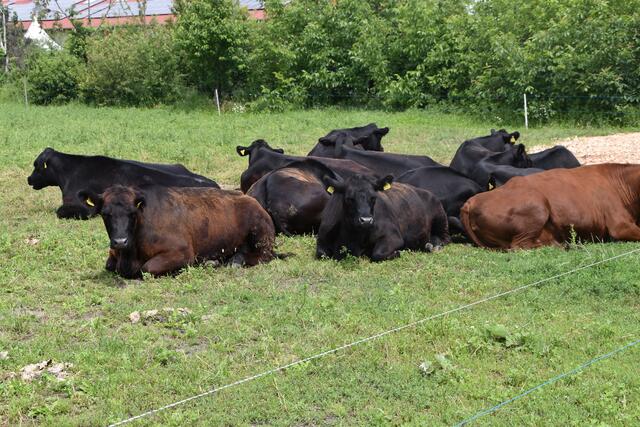 Foto: Stefan Schneider