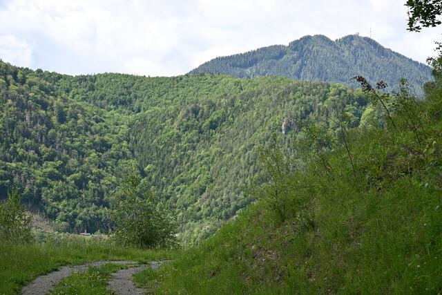Geht dann aber wieder schön weiter