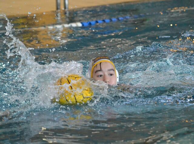 Foto: ASV Wasserball