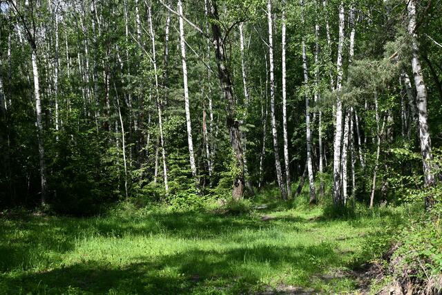 Hier scheint der Weg aufzuhören