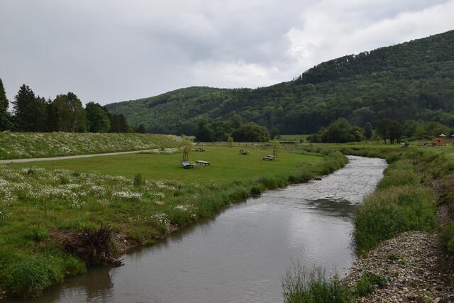 Die Triesting im neuen Naherholungsgebiet. | Foto: Preineder