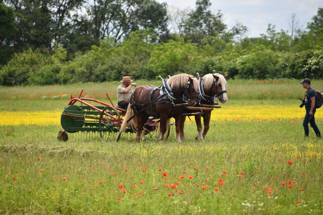 Foto: Stefan Schneider