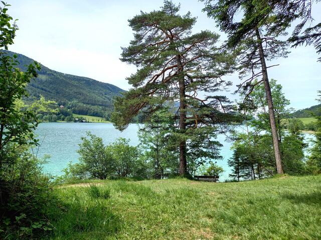 Fuschlsee  | Foto: H.Bachinger 
