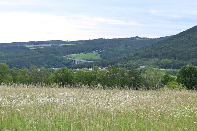 S6, Blick Richtung Enzenreith