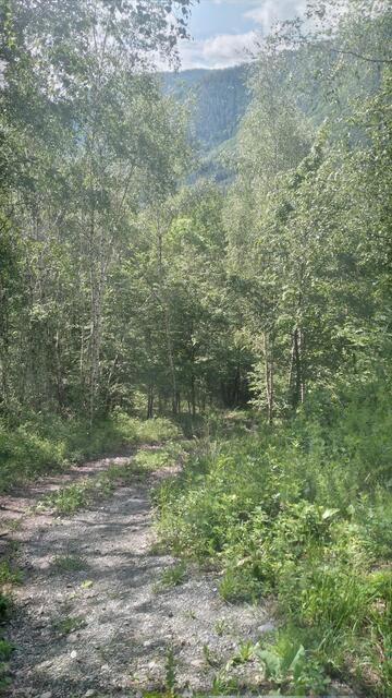 geht aber rechts steil nach oben