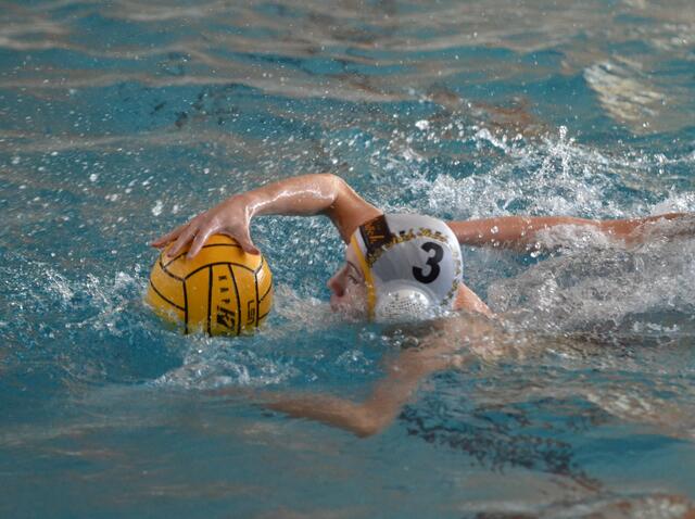Foto: ASV Wasserball