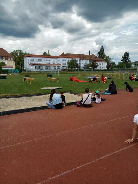 Foto: Hundesalon Wauzini