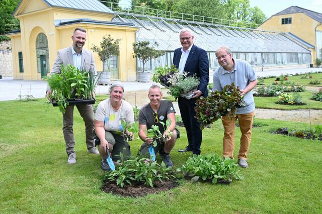 Jürgen Narath (l.), Gesamtleiter Immobilien bei Esterházy, Bürgermeister Thomas Steiner (2.v.r.) und Stefan Ferschich (r.), Chef der Stadtgärten Eisenstadt sowie zwei Gärtner im Schlosspark.  | Foto: Eisenstadt