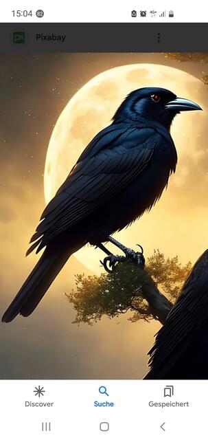 Die Vorlage - ein Rabe im Mondlicht | Foto: privat