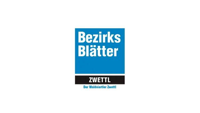 So sah das Logo der BezirksBlätter Zwettl vor 15 Jahren aus. | Foto: Archiv