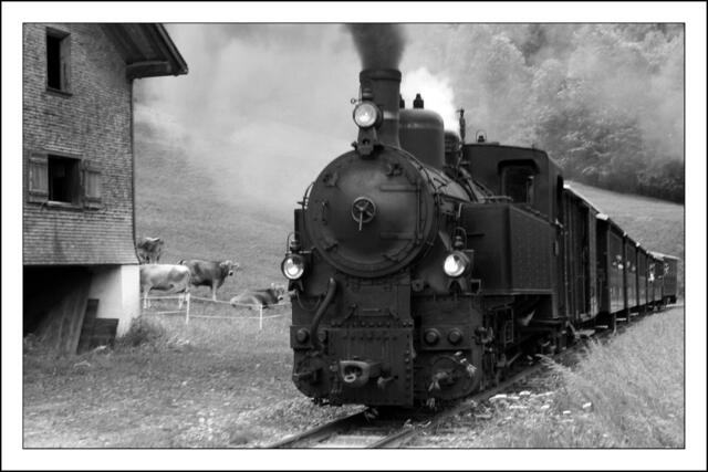 Bild # 7839 | Foto: © by Ing. Günter Kramarcsik