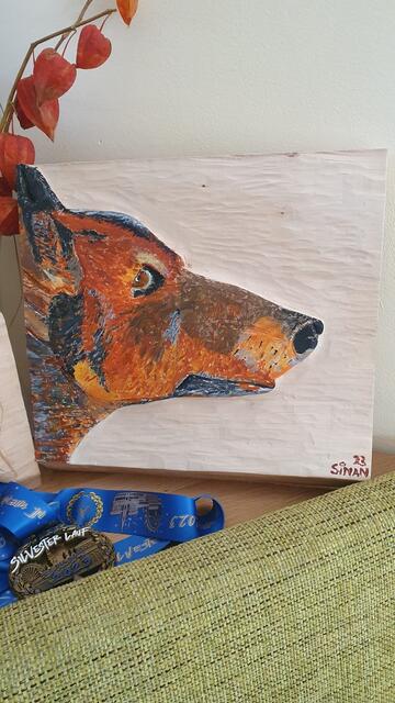 Ein farbenprächtigerWolfshund | Foto: privat