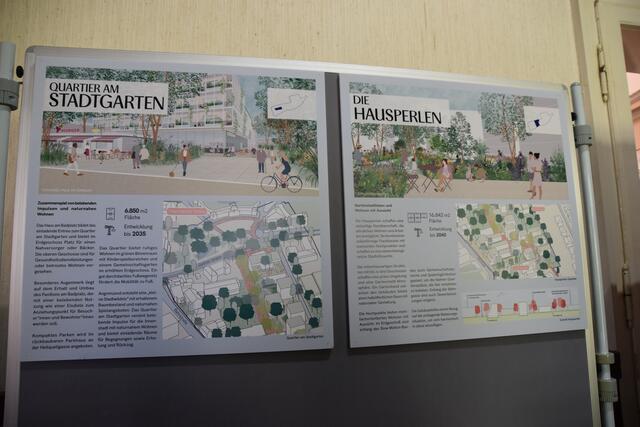 Stadtgarten und Hausperlen. | Foto: Preineder