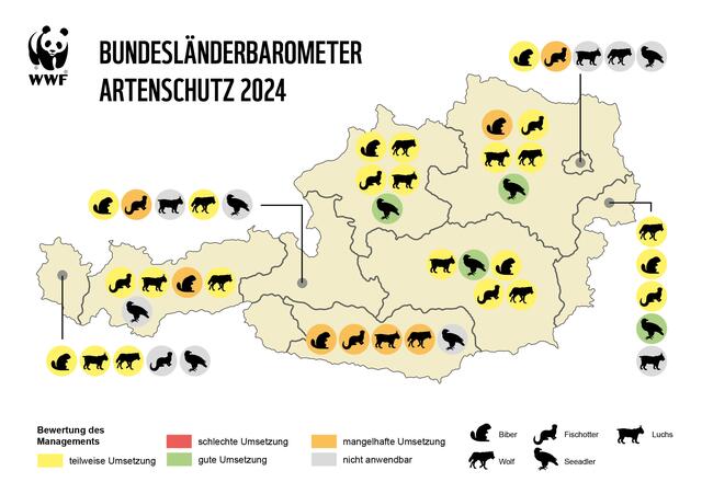 Die Studie zum Artenschutz. Tirol hat für kein Tier "gute Umsetzung" erhalten. | Foto: WWF