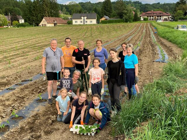 Der Kindergemeinderat in Wies beim Ansetzen der jungen Kürbispflanzen. | Foto: MG Wies