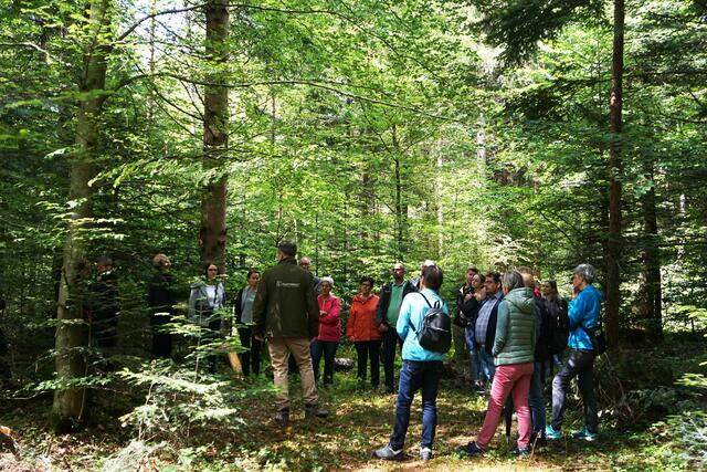 Klosterwald eröffnet  | Foto: Klosterwald GmbH