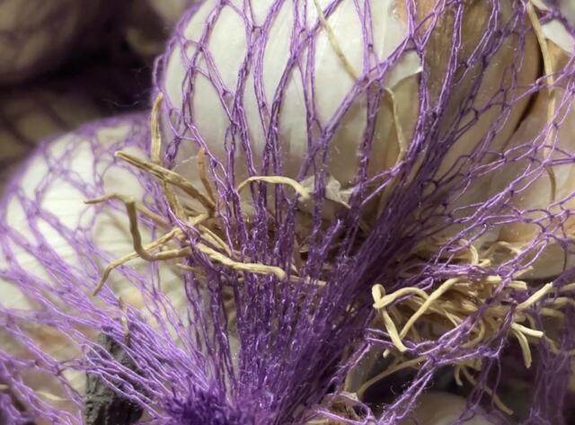 So kennen wir den Knoblauch aus dem Einzelhandel. | Foto: Kathrin Santha