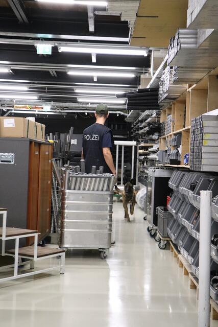 Die Hunde leben bei ihren Hundeführern im Familenbund. | Foto: Tanja Handlfinger