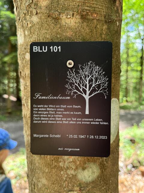 Gedenktafel Klosterwald/Waldbestattung