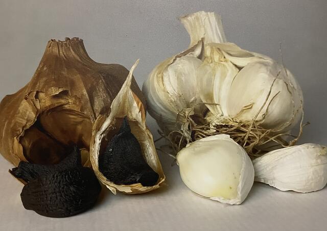 Der schwarze Knoblauch ist im Gegensatz zu seinem Urprodukt süßlich und weich. | Foto: Kathrin Santha