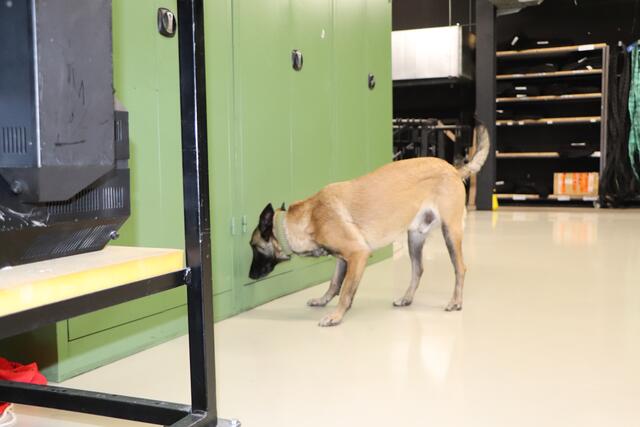 Foto: Tanja Handlfinger