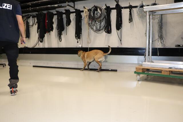 Foto: Tanja Handlfinger